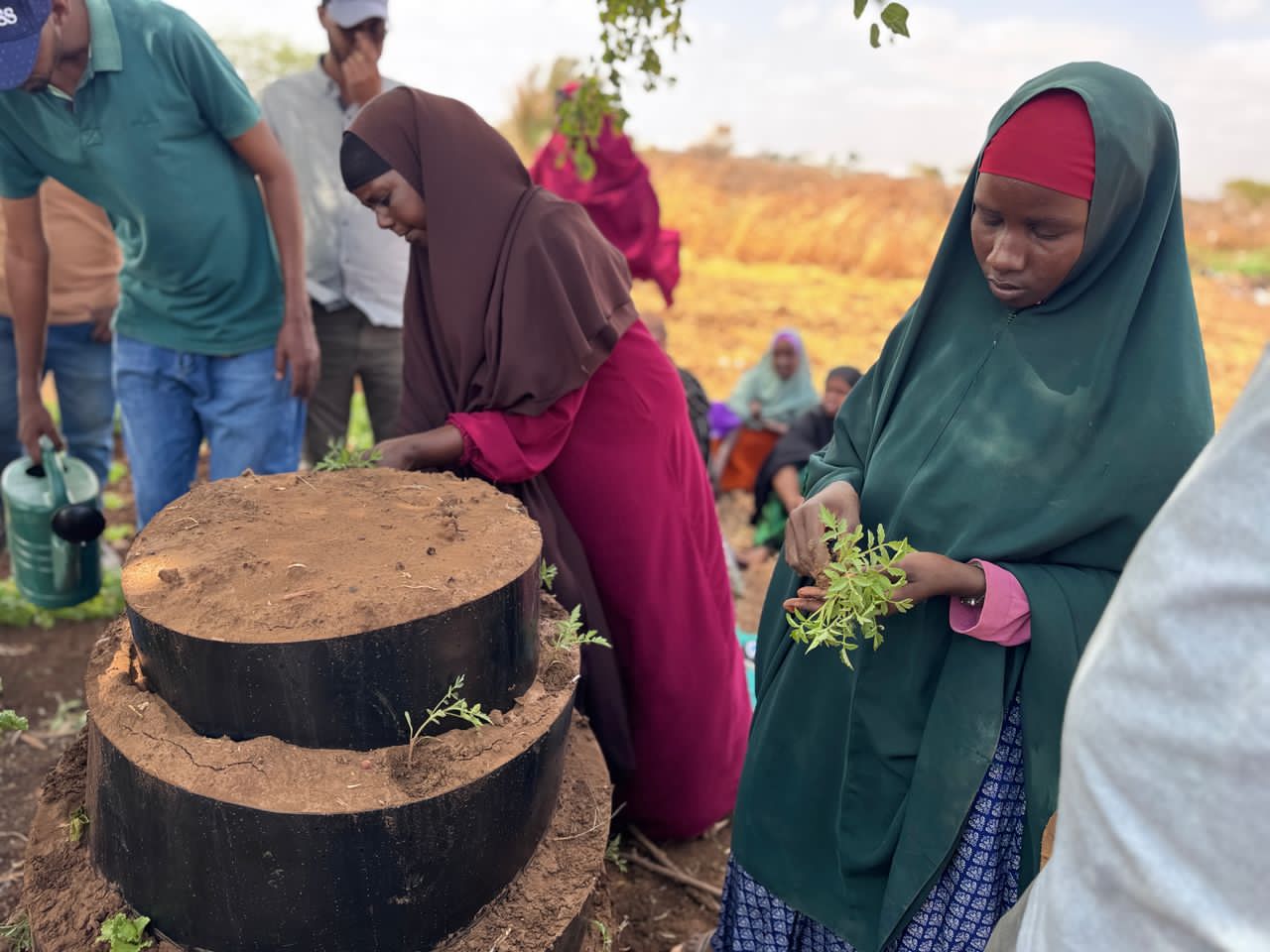 Women learning sack-garden techniques during a DAMAL field training